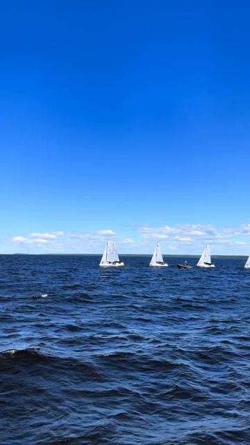 🇷🇺🖤🌳 смотреть онлайн