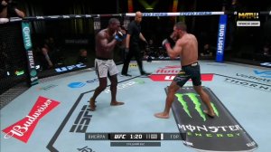 Родолфо Виейра против Трейшона Гора (видео). UFC Fight Night