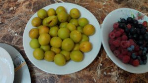 Абрикосы Лель, Триумф северный и Чемпион севера. Первый урожай. Выращивание абрикосов в Челябинске.