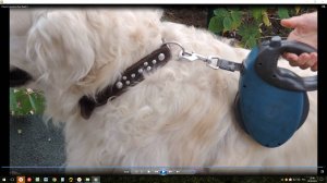 Ремонт рулетки Flexi Giant