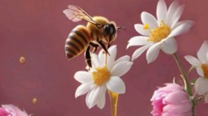 Медовый Спас 14 августа  🍯🐝 Пусть Бог хранит вашу семью
