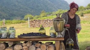 Готовим сливы на зиму! Азербайджанская Кухня Деревенская Кухня  Рецепты