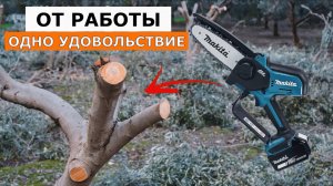 Пила цепная аккумуляторная Makita DUC150SF
