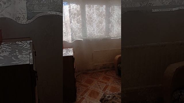 видео квартиры смотреть онлайн