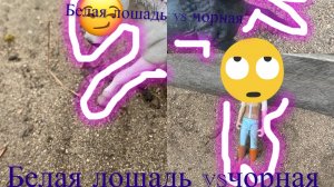 Белая лошадь vs черная🐎🖤🤍