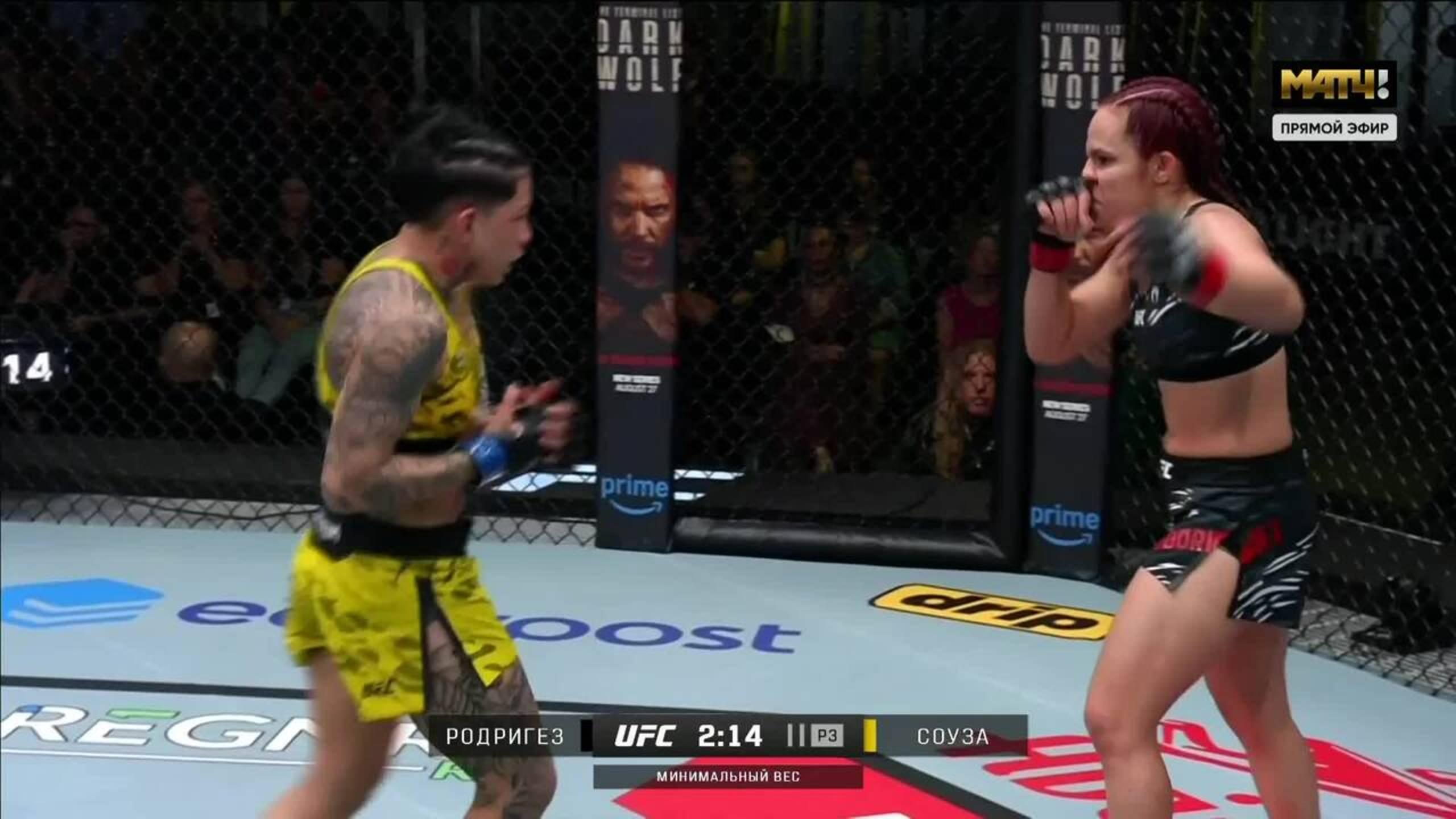 Пиера Родригез против Кетлен Соузы (видео). UFC Fight Night смотреть онлайн