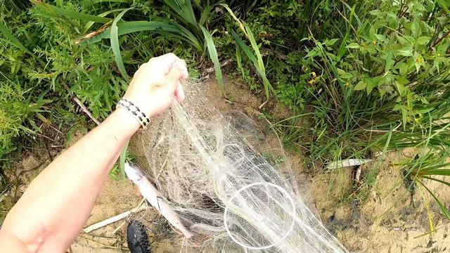 Пожалуй самая результативная рыбалка этого года кастинговой сеткой 6м, Я просто в восторге 😁😁😁👍 смотреть онлайн