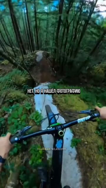 Трогательная история про друга смотреть онлайн