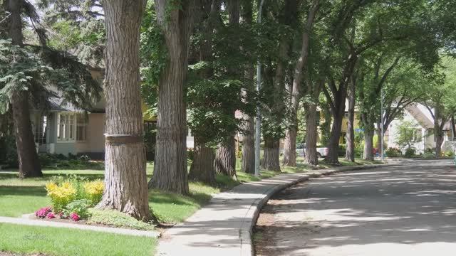 Спокойный и тихий район рядом с озером Васкана в Реджайне, Саскачеван смотреть онлайн
