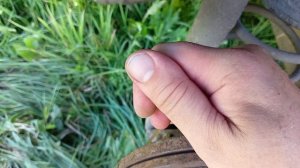 Как заменить тормозную жидкость в Киа Рио 2