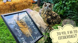 Еду в Москву кутить. Сова Ёль велела мне продвигать её новый стартап