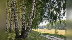 Красивая песня про деревню и фото прошлых лет