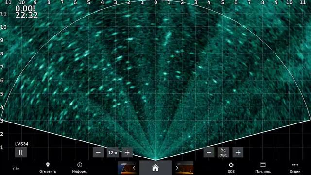 Сом 20кг на 10м от лодки, у поверхности. смотреть онлайн