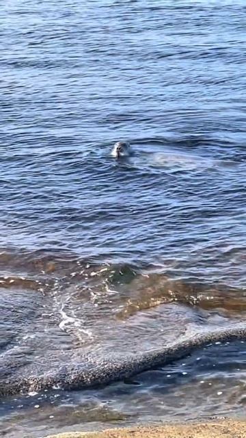 Баня смотреть онлайн