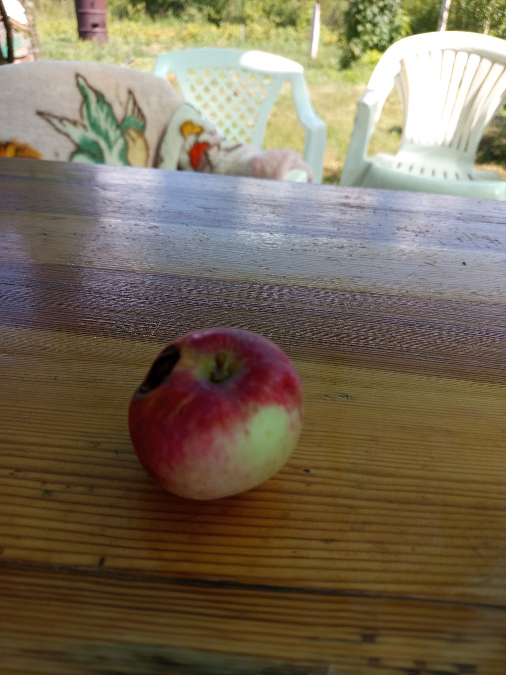 играю в Tomb Raider