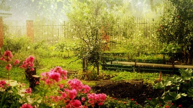 Шум дождя. Дождь. Пение птиц в саду под шум дождя смотреть онлайн