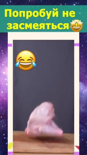 Вас снимают🤣 смотреть онлайн