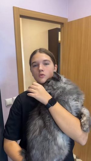 Кто по вашему лучше- собаки или кошки???