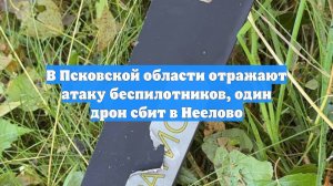 В Псковской области отражают атаку беспилотников, один дрон сбит в Неелово