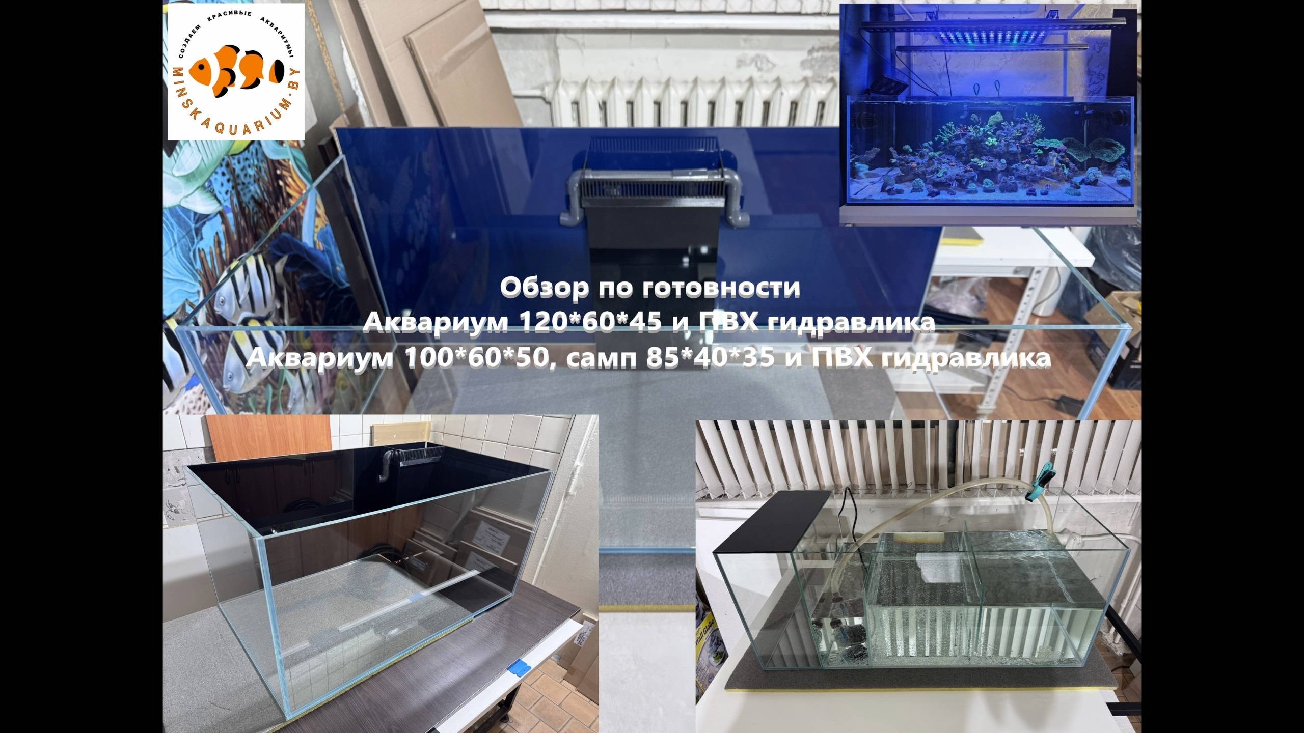 Морские аквариумы. Обзор по готовности. смотреть онлайн