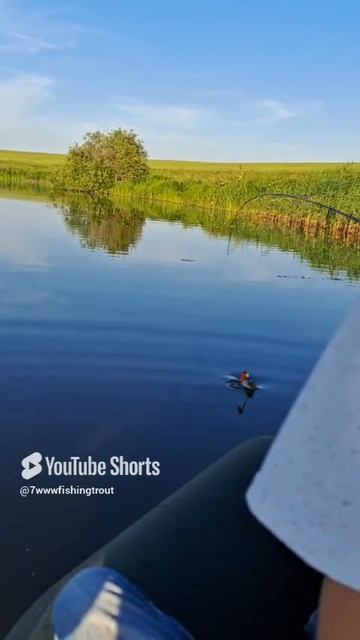 Сбежала щука смотреть онлайн