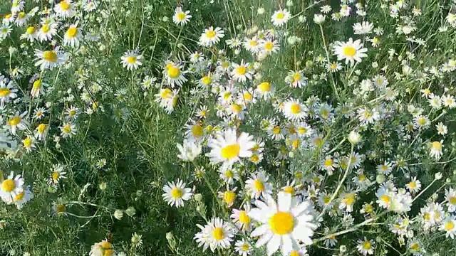 Прогулка в Ворсме у озера Тосканка