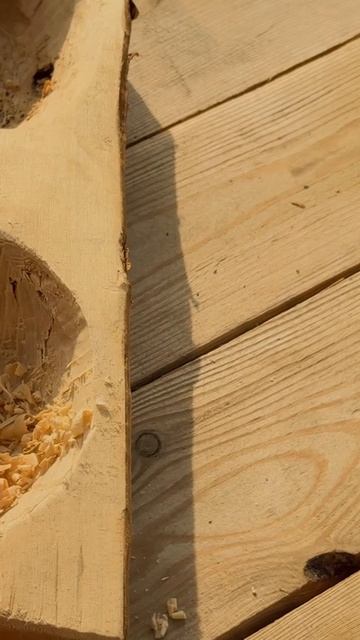 Миска для собаки смотреть онлайн