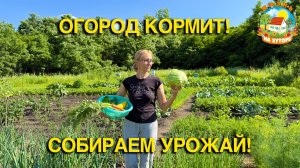 🟢В ДЕРЕВНЕ СКУЧАТЬ НЕКОГДА! У нас снова пополнение! Шпатлюем потолок!