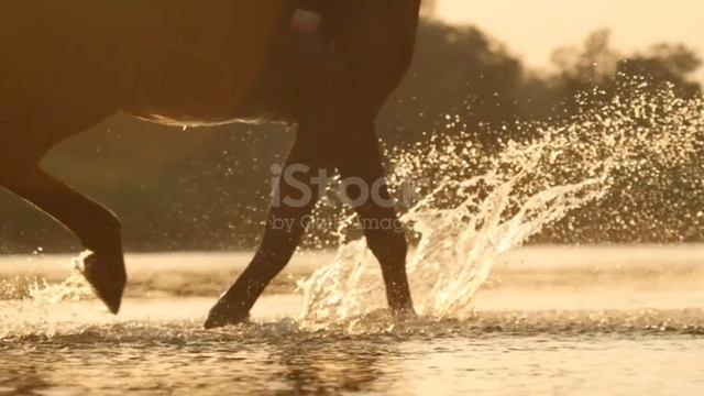 Любэ ( А река течет ) смотреть онлайн