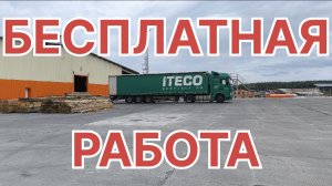 ✅ БЕСПЛАТНАЯ РАБОТА.