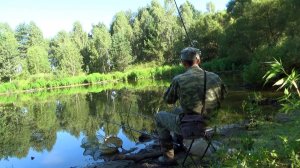 Рыбалка 2 августа на карася на поплавок с берега  - применяю перловку и кукурузу!