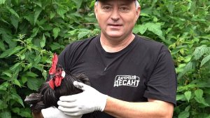 Камчатский «Дачный десант» от 30 июля 2025 г. - уничтожаем пятнистость томатов!