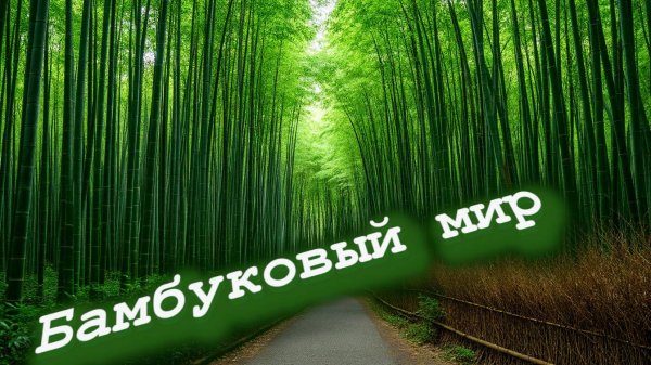 House Builder №11-Дома из бамбука.