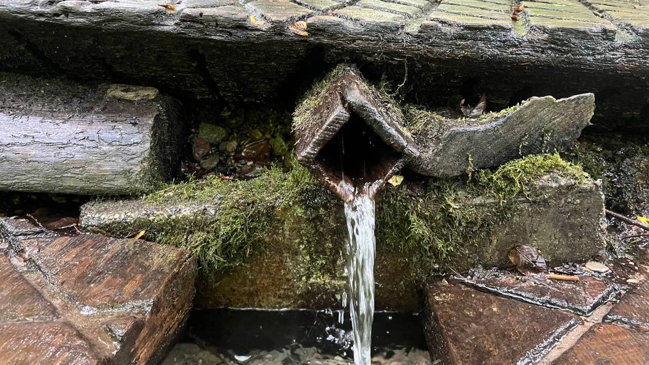 Родник у посёлка Зеленый Гай (Калининградская область)