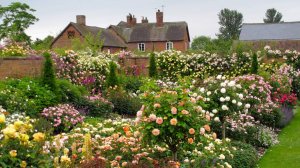 Английский стиль сада.  #Natalie_garden #Стили_садов