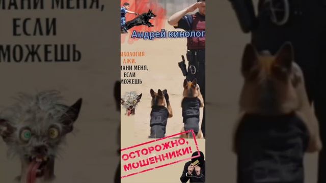 Собрание "специалистов 404" смотреть онлайн