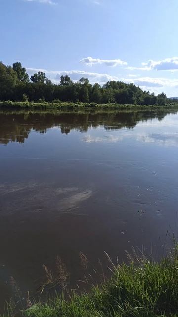 Момент с рыбалки.