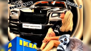 Идеальный завтрак в Address!Аренда авто/Автосалон в Дубае/Green planet/IKEA/Цена отеля 2025!