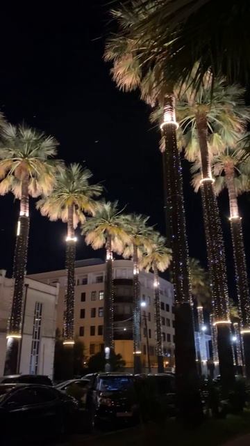 Обстановка сегодня вечером в столице Абхазии в городе-курорте Сухум на набережной Махаджиров смотреть онлайн