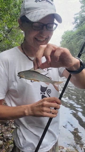 Рыбалка с семьёй в центре Приморского края, на реке Малиновка 2025 #горнаярыбалка #хариус смотреть онлайн