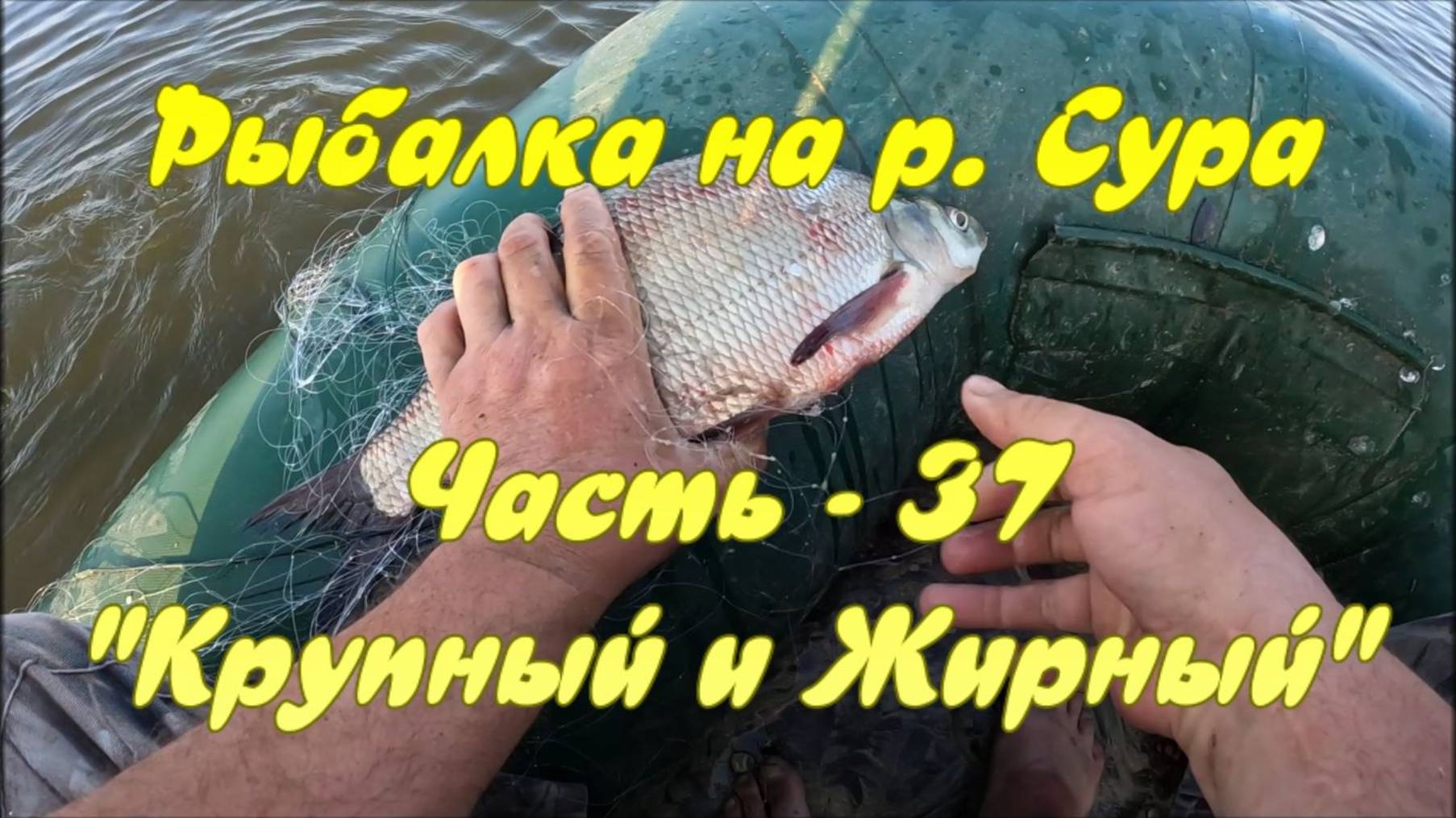 Рыбалка на р. Сура. Часть - 37. "Крупный и Жирный". смотреть онлайн