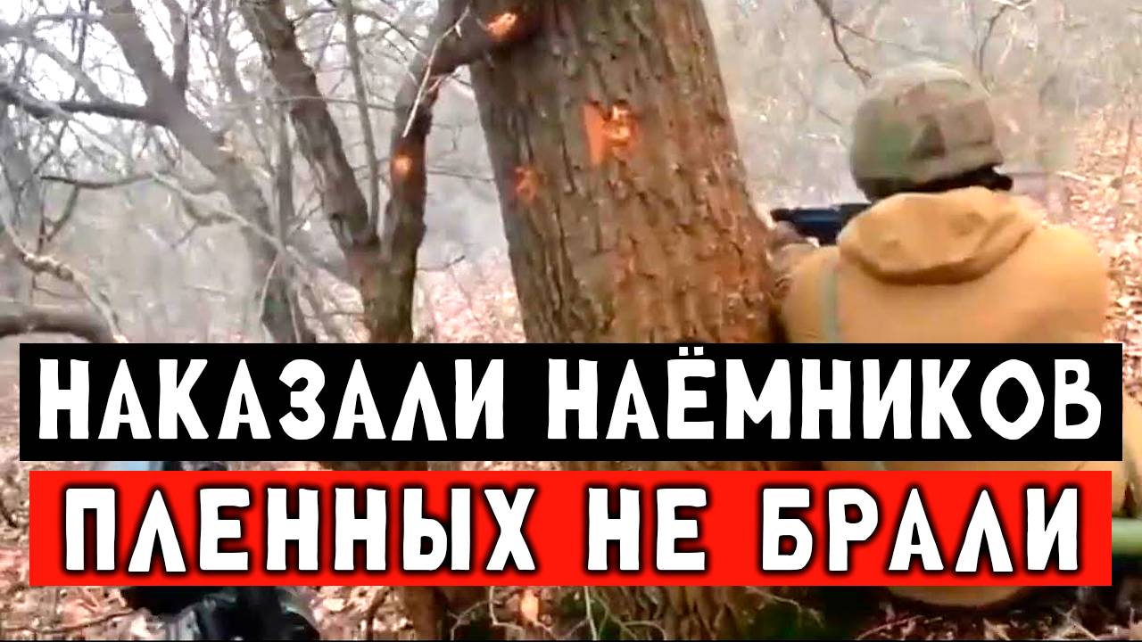 Размотали наемников ВСУ, жесткие кадры смотреть онлайн