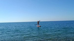 Вечерний шашлык (без фен-шую)/море/супер живность/утёнок/наш лайфхак пользуется спросом/ЛАСТОРУКИ