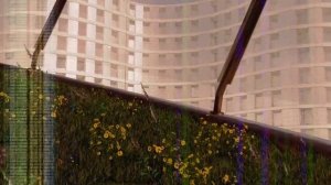 Backrooms 8 - The grassroom corridors (#4)