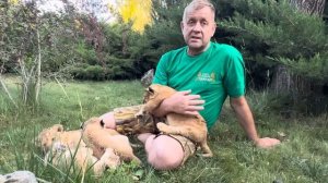 В зоопарке убили 12 гамадрил потому что они никому не нужны и места в зоопарке им небыло!