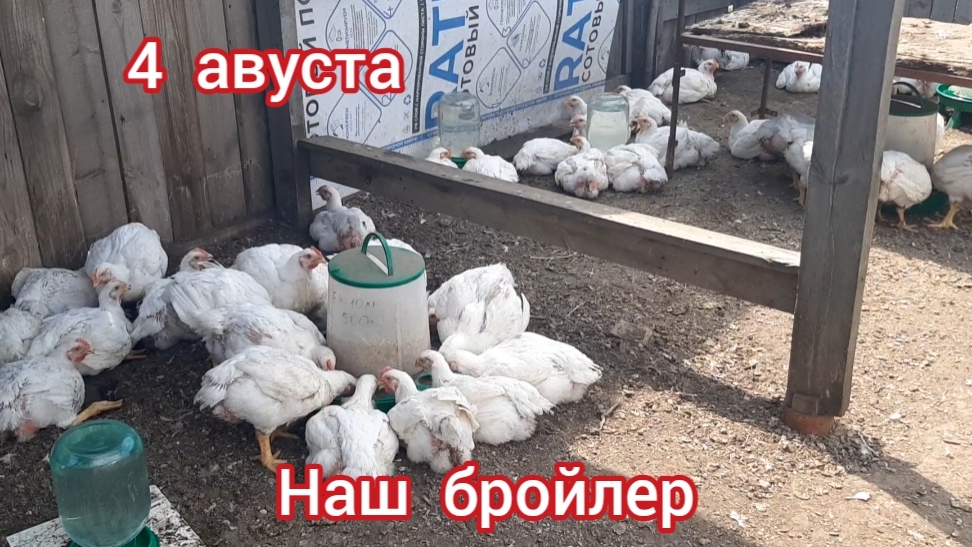 В тени +34. Уличный бройлер смотреть онлайн