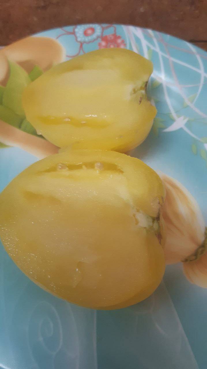 Белый айсберг смотреть онлайн