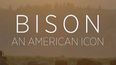 Бизон - Американский идол | NAT Geo