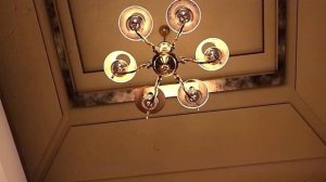 Backrooms 8 - Rosemary's rooms (#7)