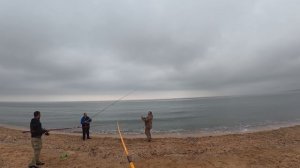 Рыбалка на пеленгаса 2025 бешеный клев